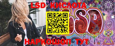шишки Ногинск