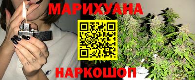 шишки Ногинск