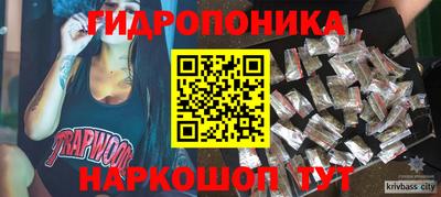 шишки Ногинск